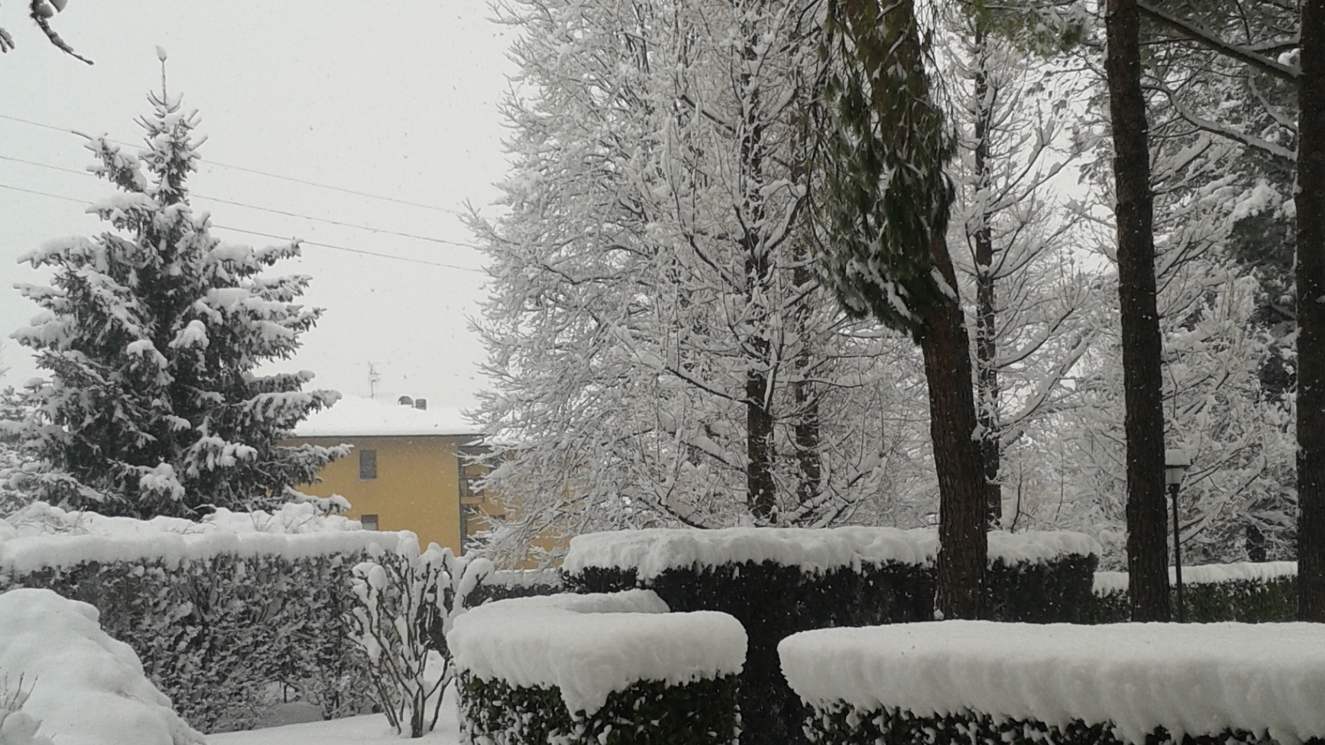 RSA Casa di Riposo Oasi Domenicana